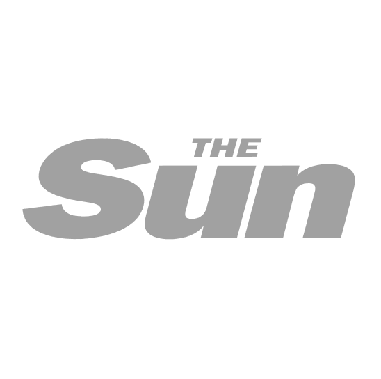 The Sun